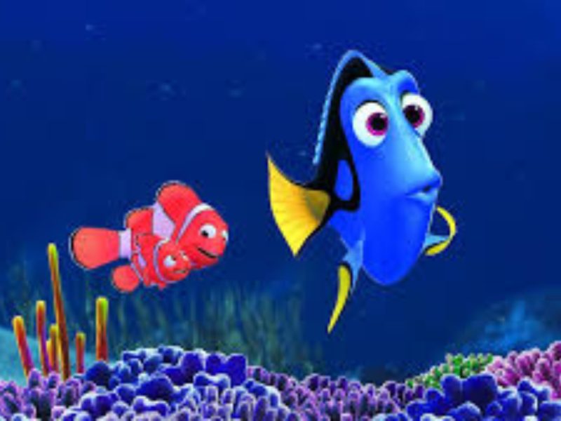 2015 Finding Dory Movie 4k