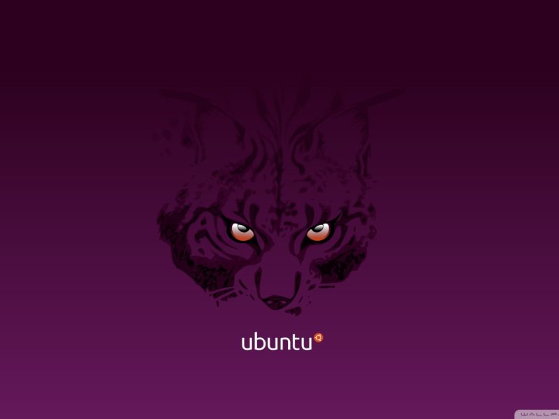 320×240 Ubuntu