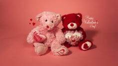 Teddy Bear Couple Happy Valentines Day