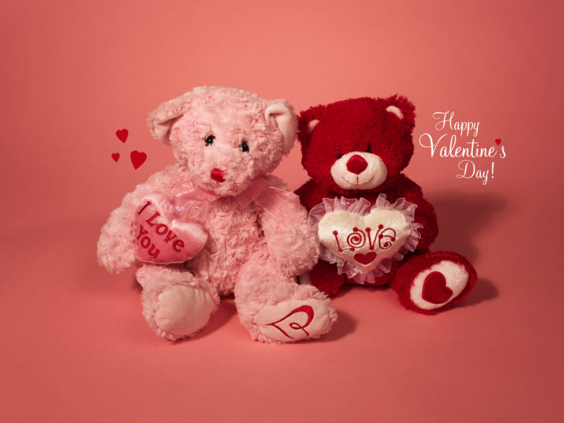 Teddy Bear Couple Happy Valentines Day