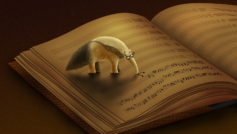 Funny Wallpapers Anteater Eats Notes 097651
