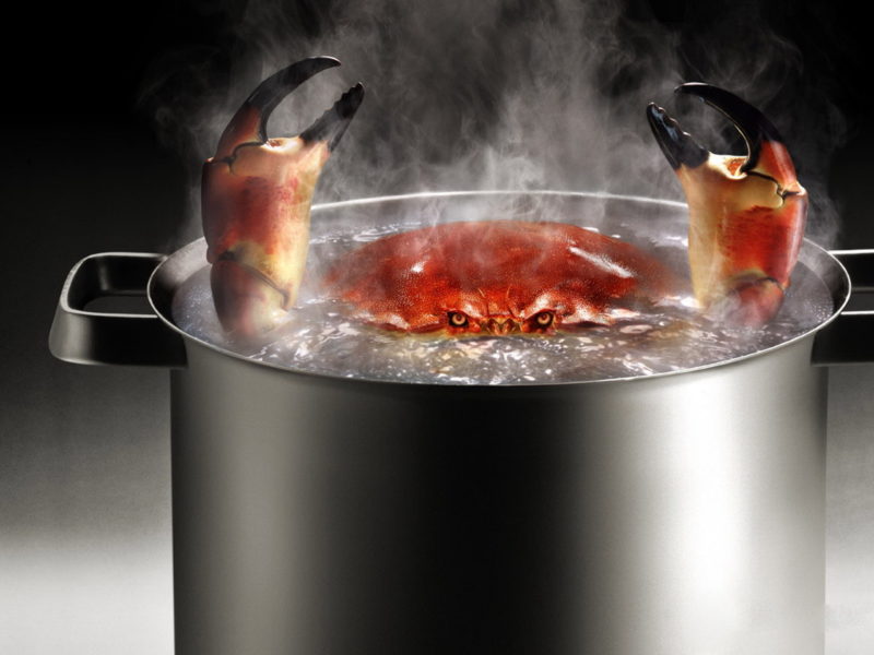 Funny Wallpapers Crab In Boiling Water 093268