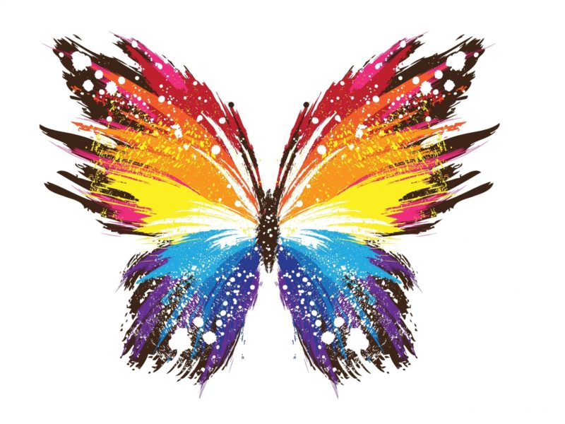 Abstract Butterfly Vector