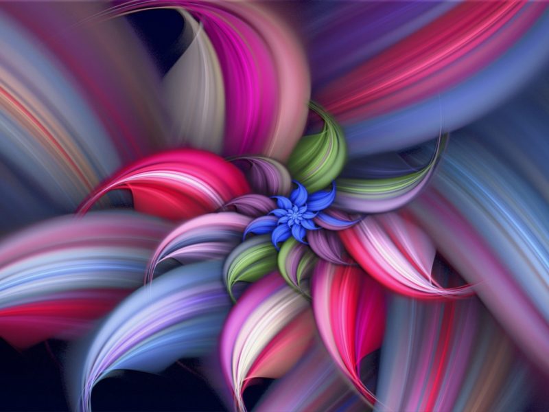 Abstract Flower Art Colorful