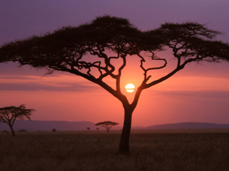 African Sunset Wide