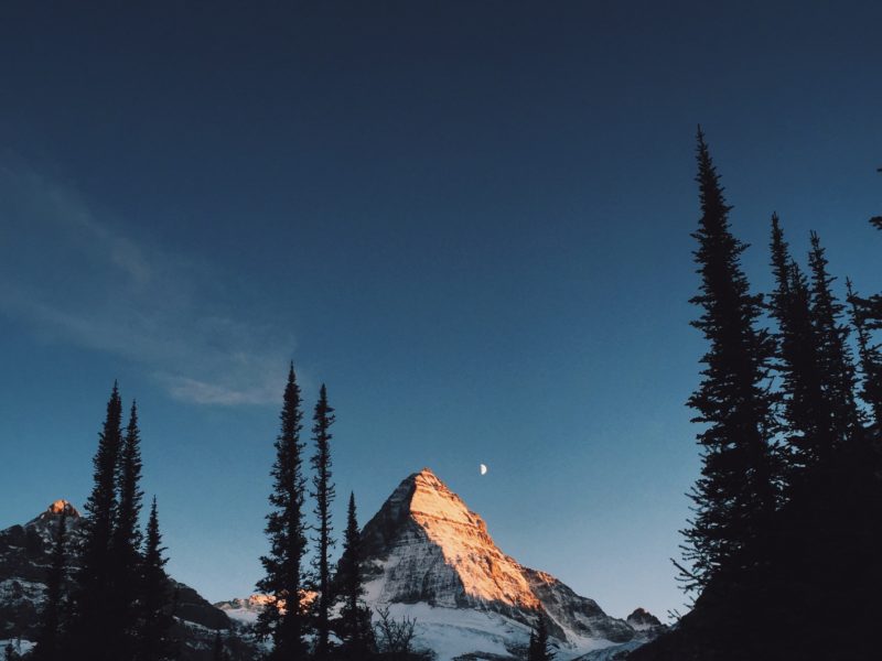 Alpenglow On Mount Assiniboine Bc