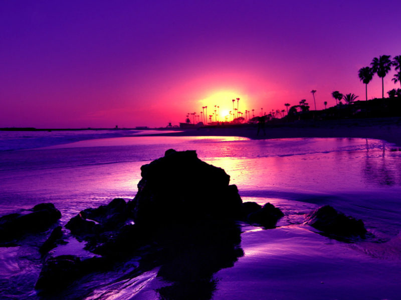 Amazing Purple Sunset Beach