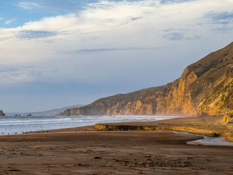 Ashore California And Took This Shot