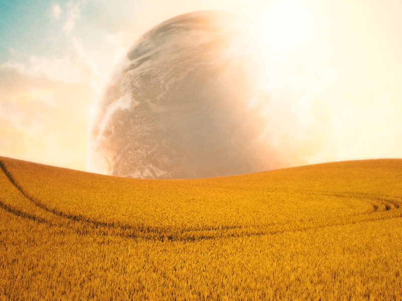 Campo Aberto Fields Planet Wide