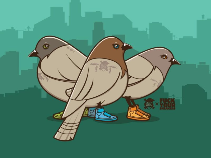 Funny Pigeons With Funny Shoes