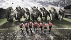 Funny Rugby Team Vs Rhinos Funny