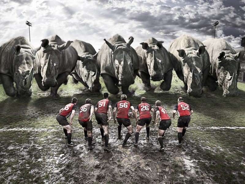 Funny Rugby Team Vs Rhinos Funny