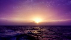 Purple Sea Sunset 1600×900