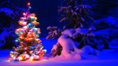 Snowy Christmas Tree Lights Wide
