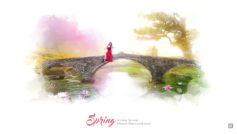 Spring Blossom Flowers Music 2560×1440