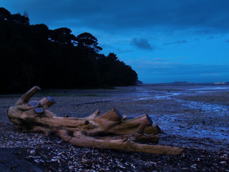 Wood Bay Titirangi Auckland.