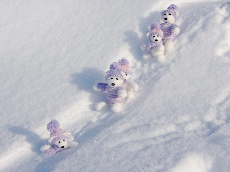 Cute Toy Bears on the snow