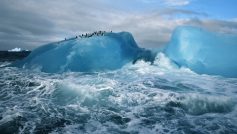 Antarctica Penguins Ice Ocean