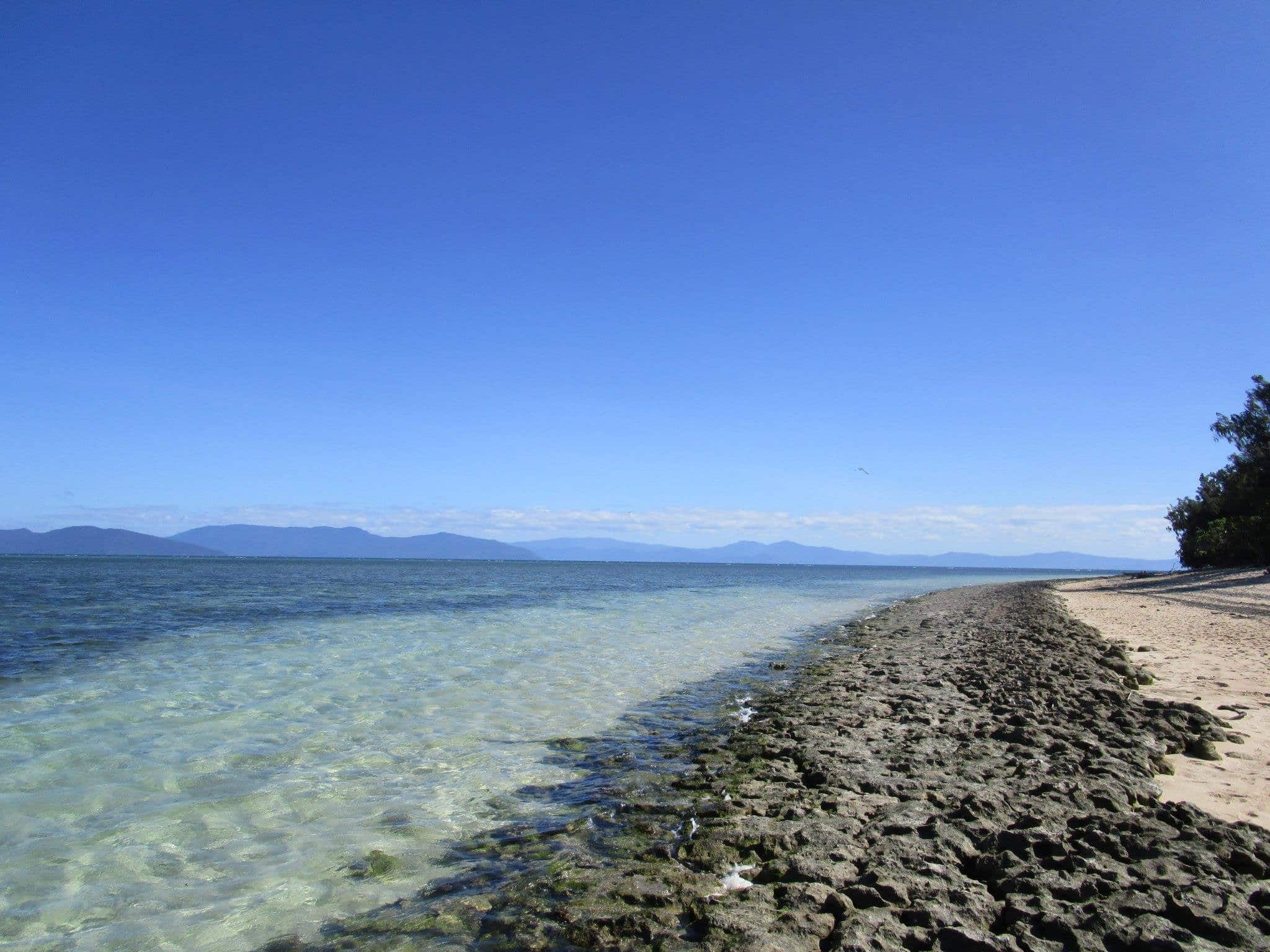 Beach Of Green Island Australia - High Definition Wallpaper