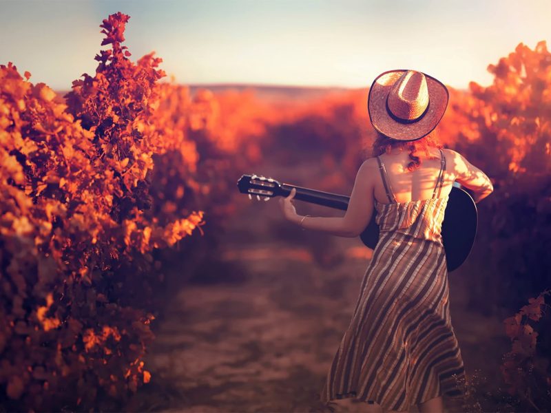 Women’s Brown Hat, Woman Holding Guitar Near Brown Plants, Fall